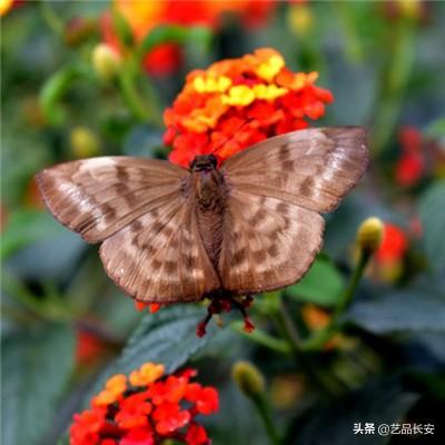 斗地主斗乐二打一下载